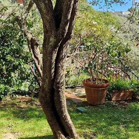 La Casa Degli Olivi A Portovenere Апартаменты *